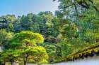 Colorful foliage,, Ginkakuji (Silver Pavilion), Kyoto, Japan. Also known as Jisho-ji. Art Print